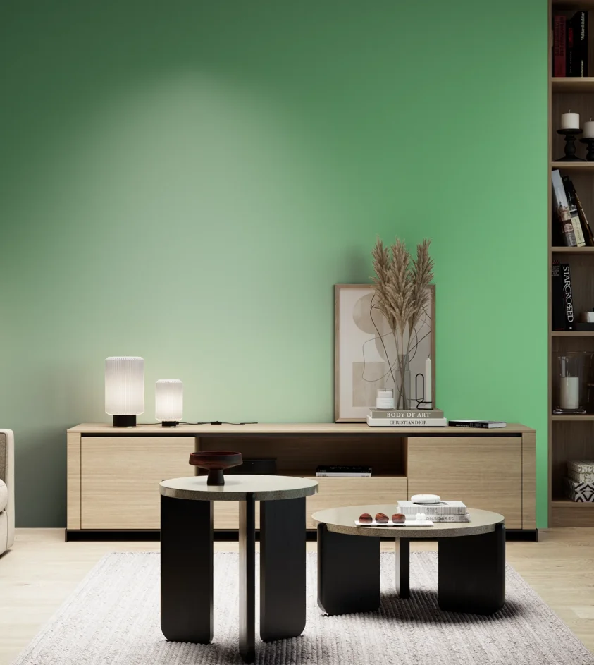 P10_SNIEZKA_salon_05_zimne_GREY_S1050-G10Y