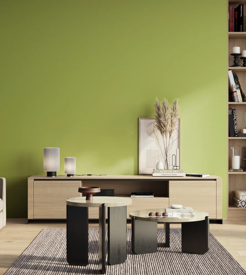 P10_SNIEZKA_salon_01_poranek_GREY_S1050-G50Y