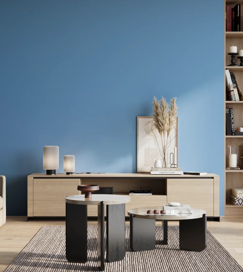 P10_SNIEZKA_salon_01_poranek_GREY_S1050-R90B