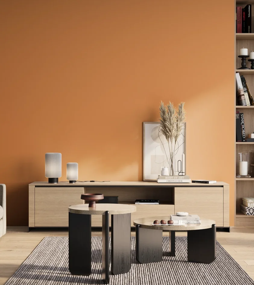 P10_SNIEZKA_salon_01_poranek_GREY_S1050-Y40R