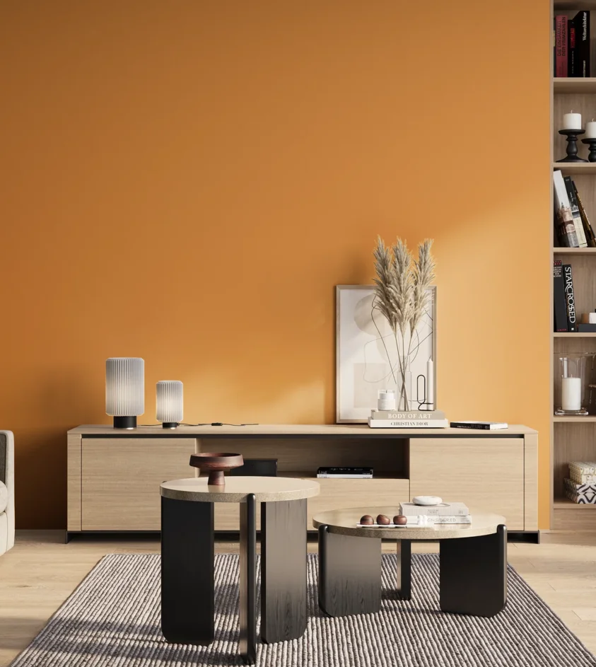 P10_SNIEZKA_salon_01_poranek_GREY_S1060-Y30R