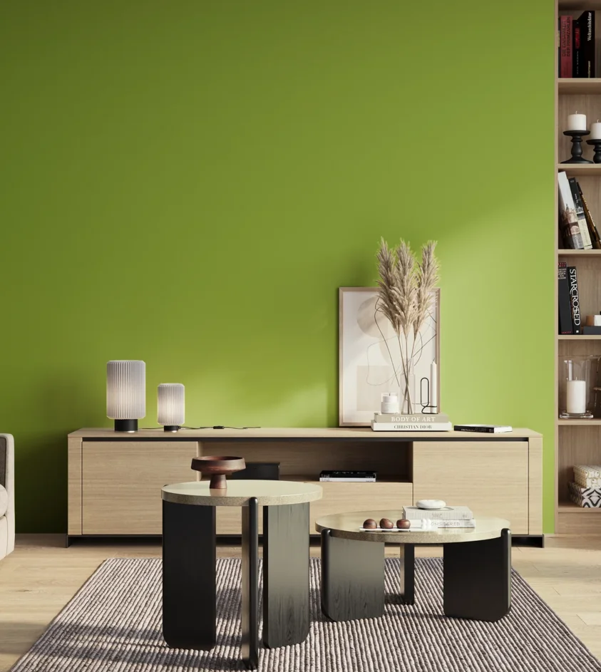 P10_SNIEZKA_salon_01_poranek_GREY_S1070-G40Y