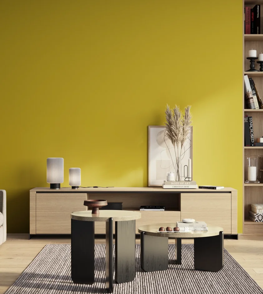 P10_SNIEZKA_salon_01_poranek_GREY_S1070-G90Y