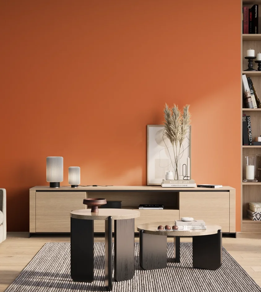 P10_SNIEZKA_salon_01_poranek_GREY_S1070-Y60R