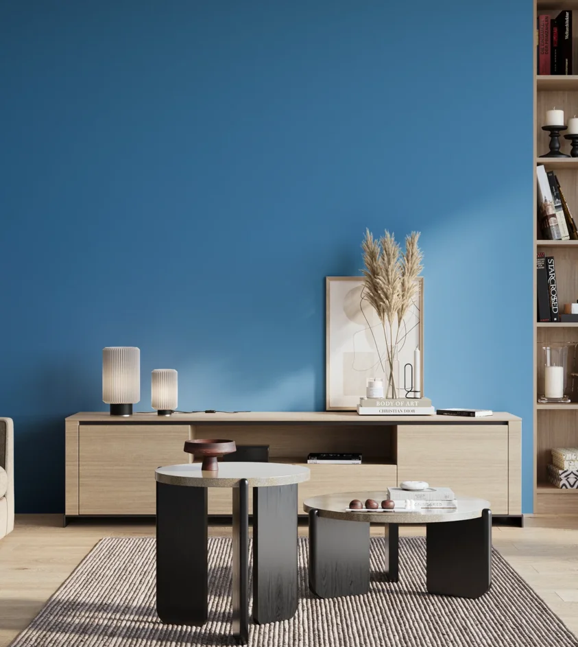 P10_SNIEZKA_salon_01_poranek_GREY_S1560-R90B
