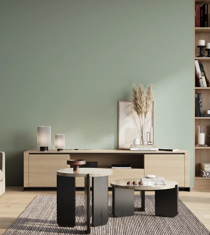 P10_SNIEZKA_salon_01_poranek_GREY_S2010-B90G