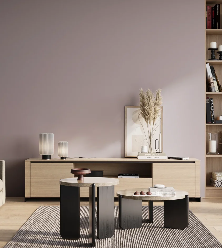 P10_SNIEZKA_salon_01_poranek_GREY_S2010-R40B