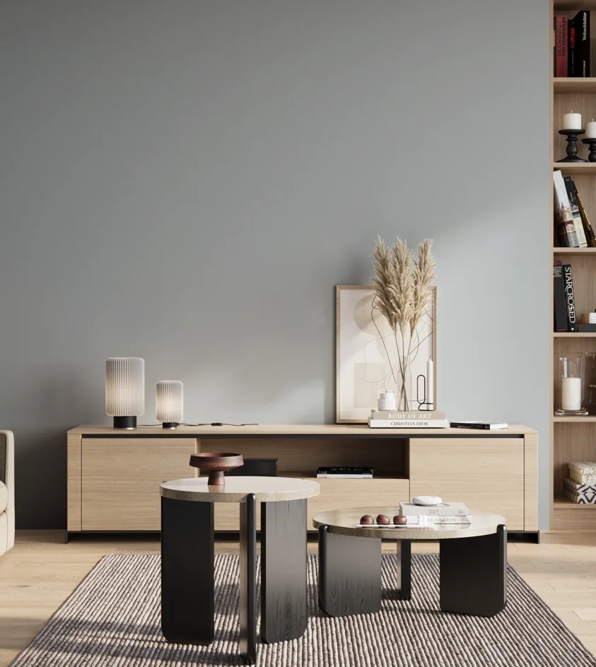 P10_SNIEZKA_salon_01_poranek_GREY_S2010-R90B