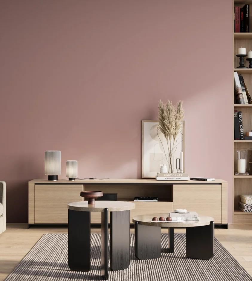 P10_SNIEZKA_salon_01_poranek_GREY_S2020-R10B