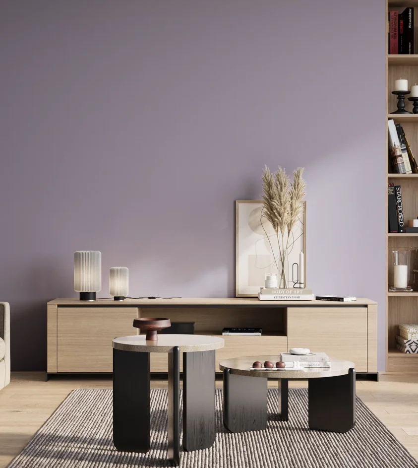 P10_SNIEZKA_salon_01_poranek_GREY_S2020-R60B
