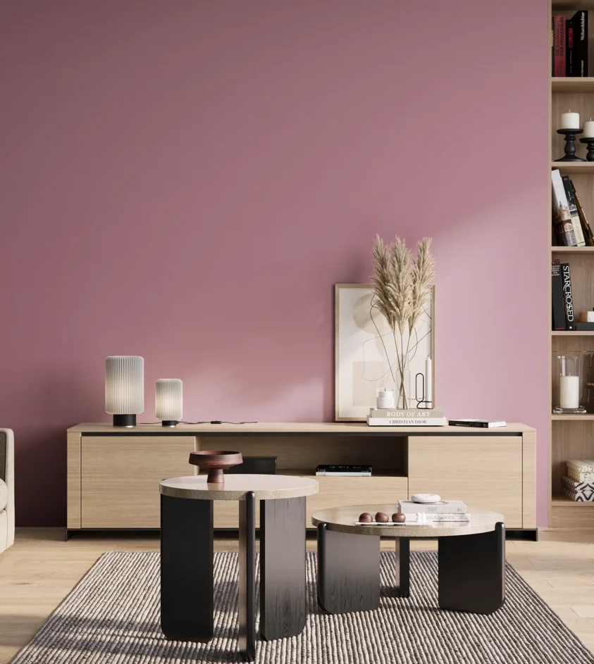 P10_SNIEZKA_salon_01_poranek_GREY_S2030-R30B