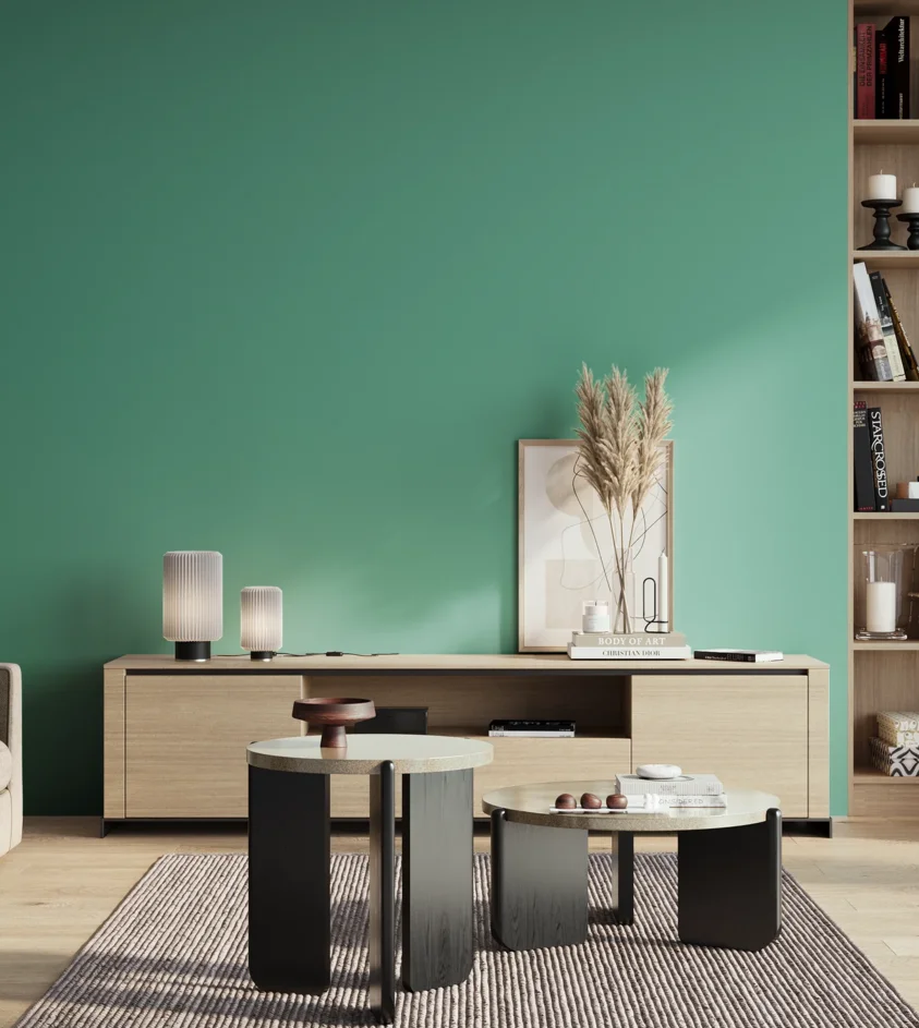P10_SNIEZKA_salon_01_poranek_GREY_S2040-B80G