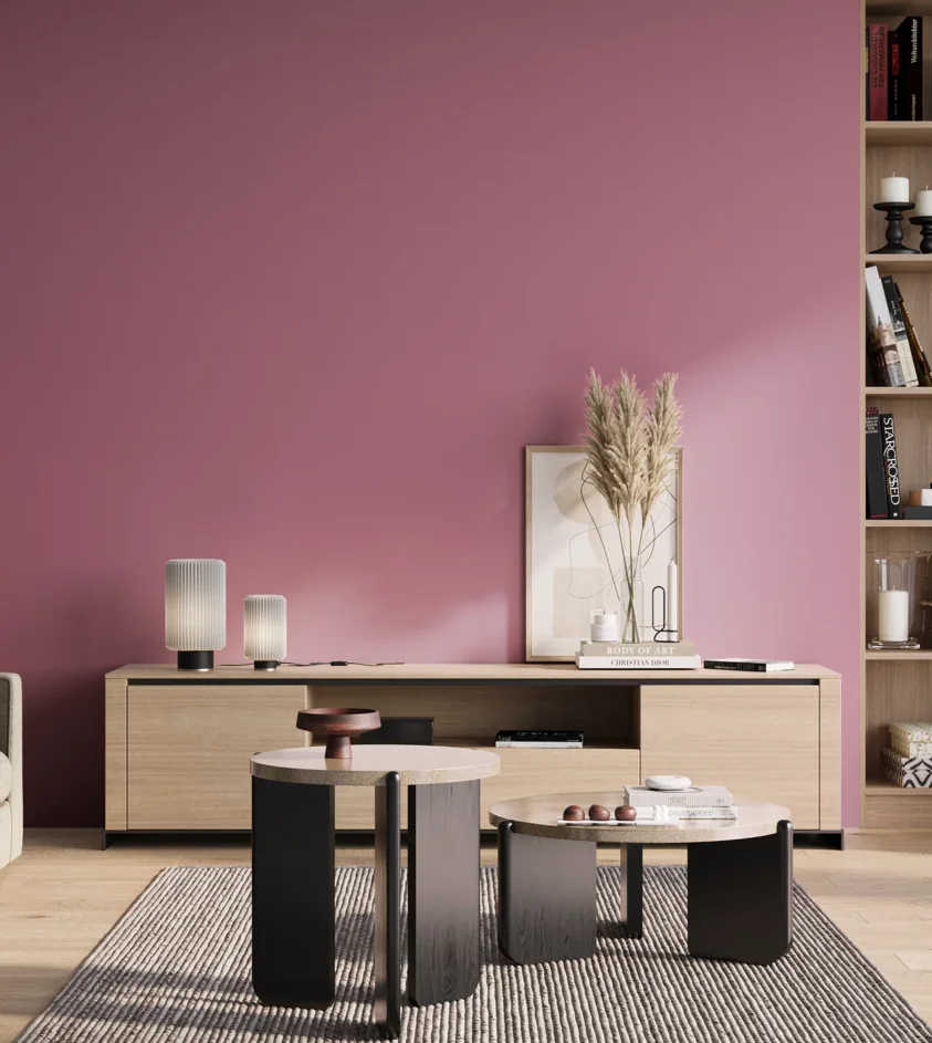 P10_SNIEZKA_salon_01_poranek_GREY_S2040-R30B