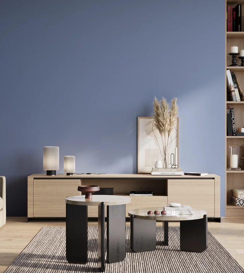 P10_SNIEZKA_salon_01_poranek_GREY_S2040-R80B