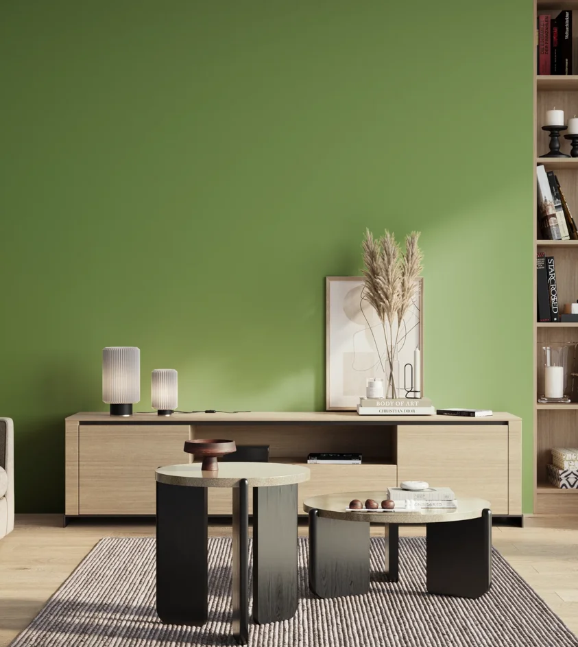 P10_SNIEZKA_salon_01_poranek_GREY_S2050-G30Y