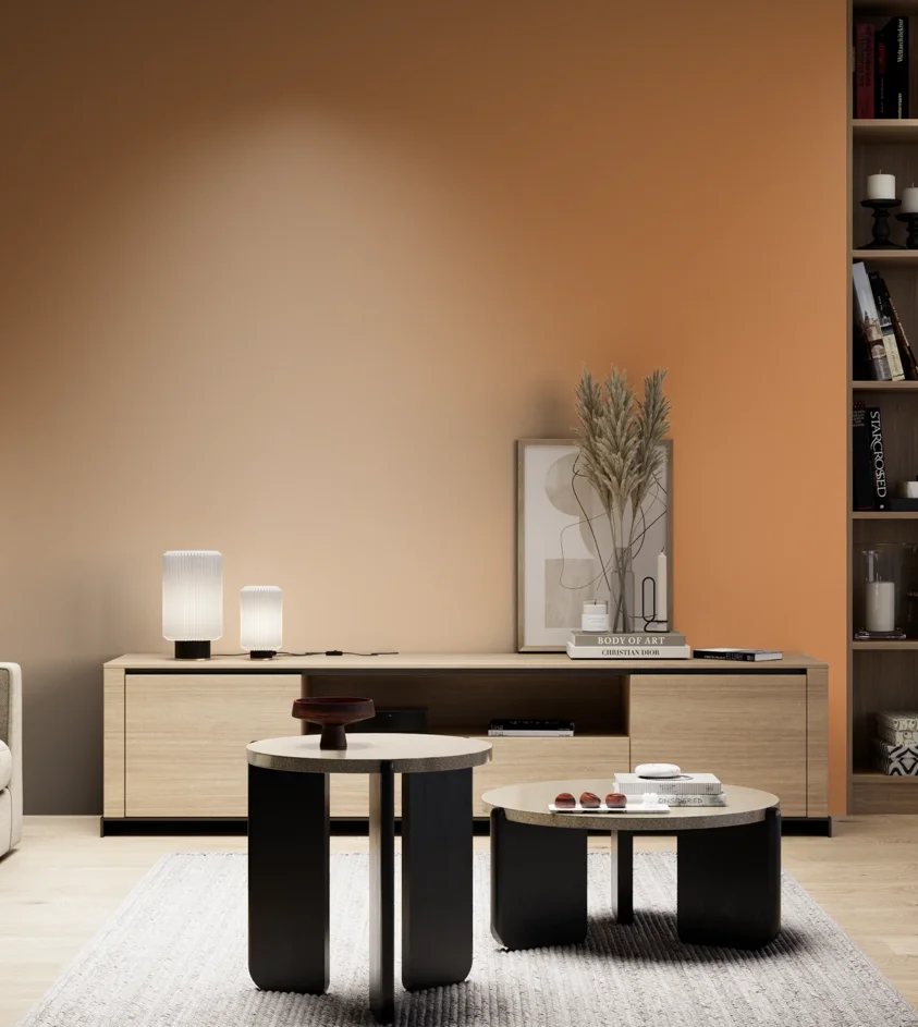 P10_SNIEZKA_salon_05_zimne_GREY_S2050-Y40R