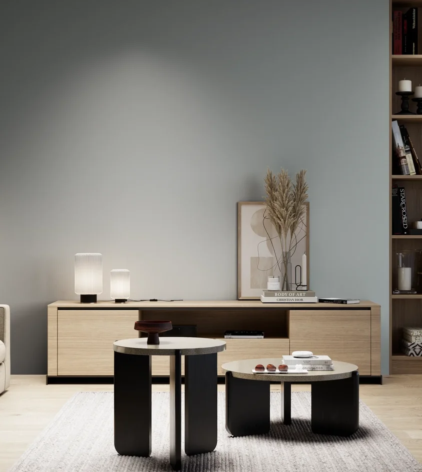 P10_SNIEZKA_salon_05_zimne_GREY_S3005-B20G