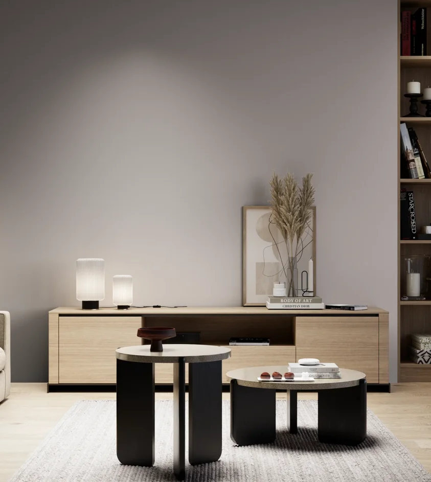 P10_SNIEZKA_salon_05_zimne_GREY_S3005-R20B