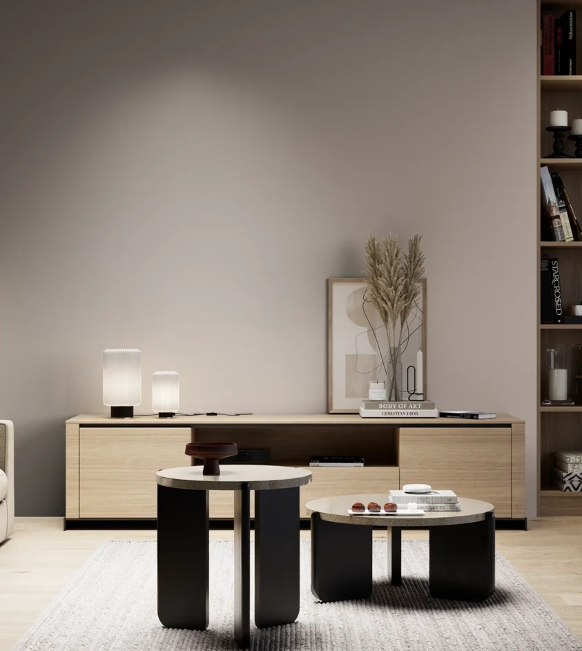P10_SNIEZKA_salon_05_zimne_GREY_S3005-Y80R