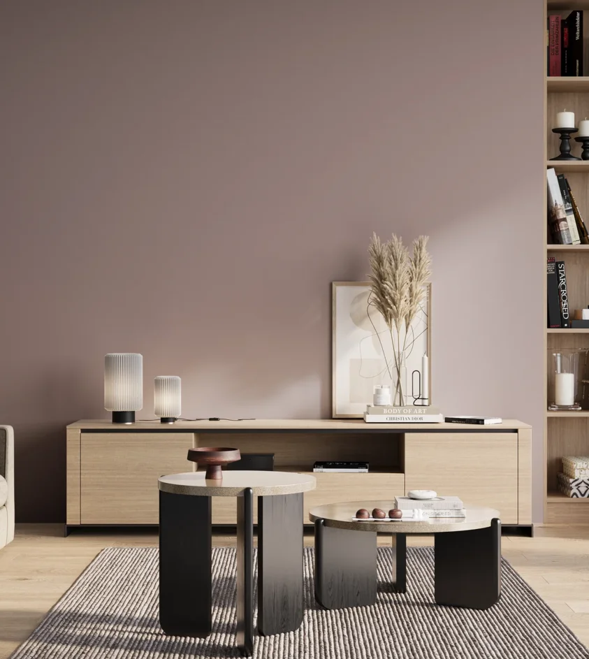 P10_SNIEZKA_salon_01_poranek_GREY_S3010-R20B