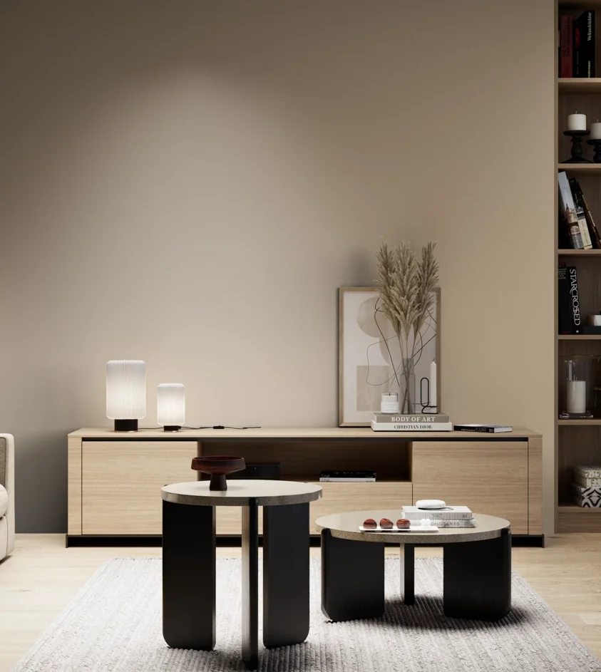 P10_SNIEZKA_salon_05_zimne_GREY_S3010-Y30R