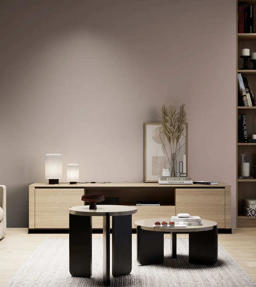 P10_SNIEZKA_salon_05_zimne_GREY_S3010-Y80R