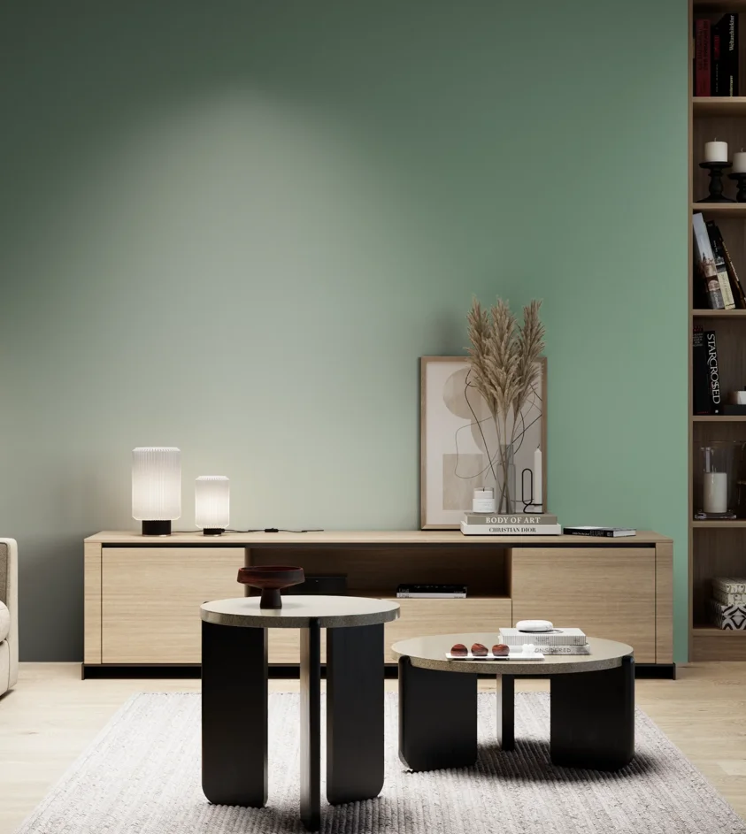 P10_SNIEZKA_salon_05_zimne_GREY_S3020-G