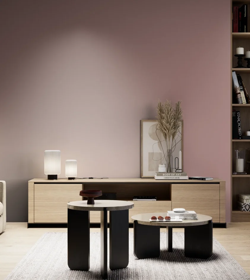 P10_SNIEZKA_salon_05_zimne_GREY_S3020-R