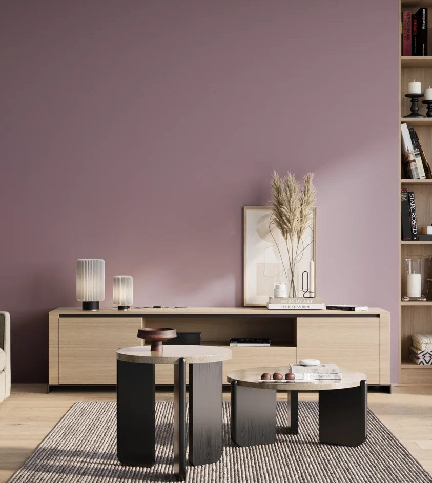 P10_SNIEZKA_salon_01_poranek_GREY_S3020-R40B