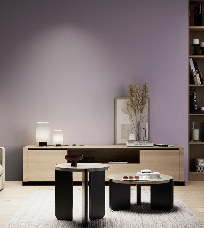 P10_SNIEZKA_salon_05_zimne_GREY_S3020-R50B