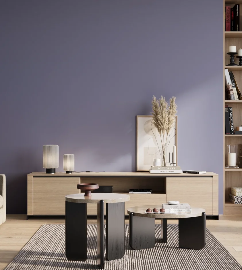 P10_SNIEZKA_salon_01_poranek_GREY_S3030-R70B