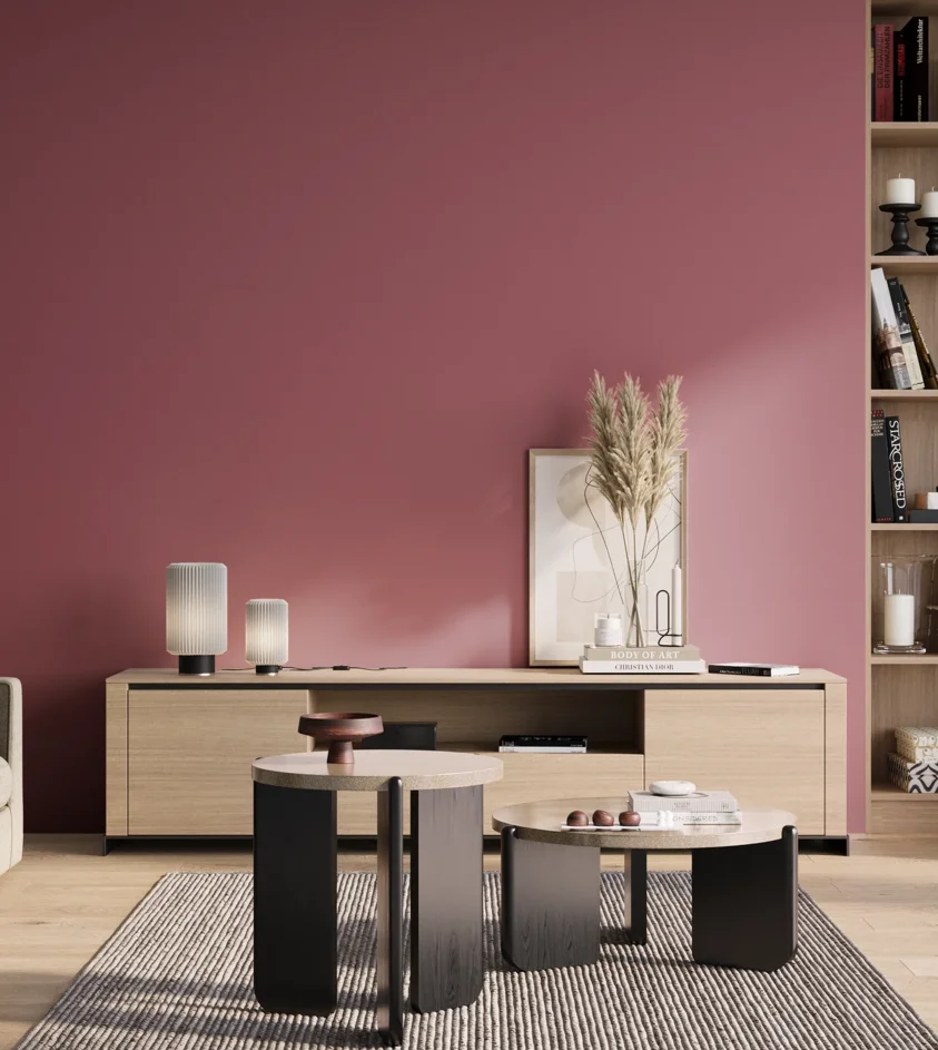 P10_SNIEZKA_salon_01_poranek_GREY_S3040-R20B