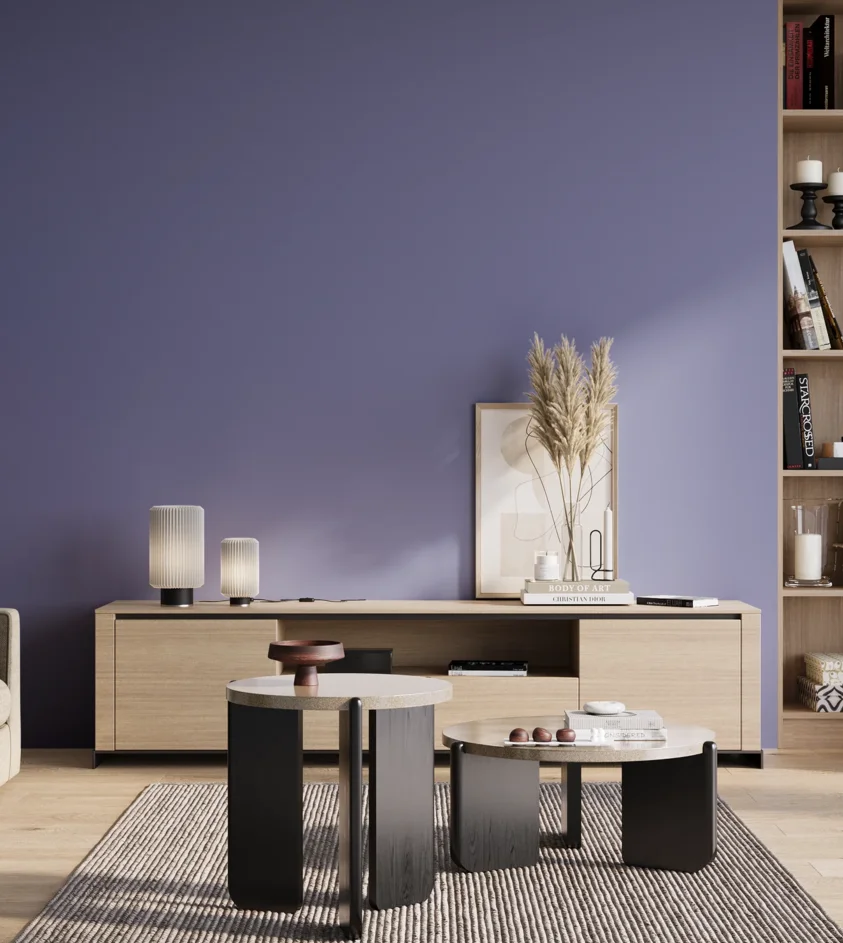 P10_SNIEZKA_salon_01_poranek_GREY_S3040-R70B