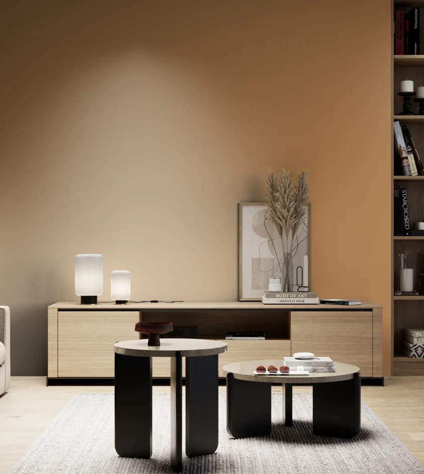 P10_SNIEZKA_salon_05_zimne_GREY_S3040-Y30R
