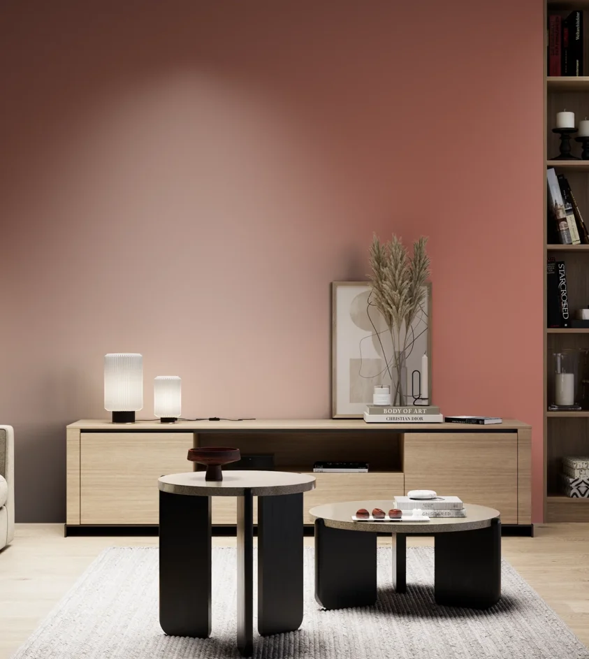 P10_SNIEZKA_salon_05_zimne_GREY_S3040-Y80R