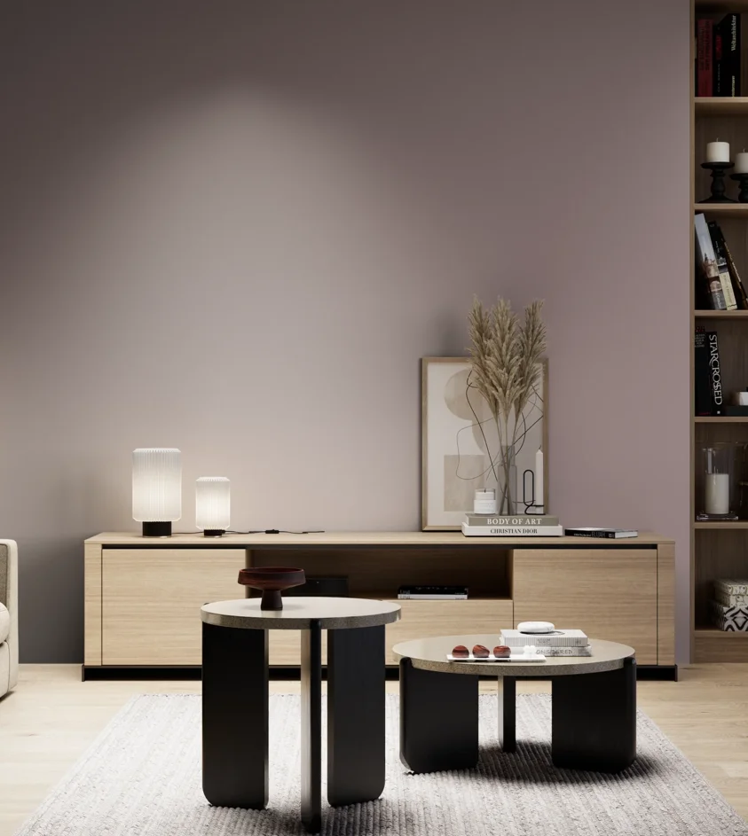 P10_SNIEZKA_salon_05_zimne_GREY_S4010-R10B