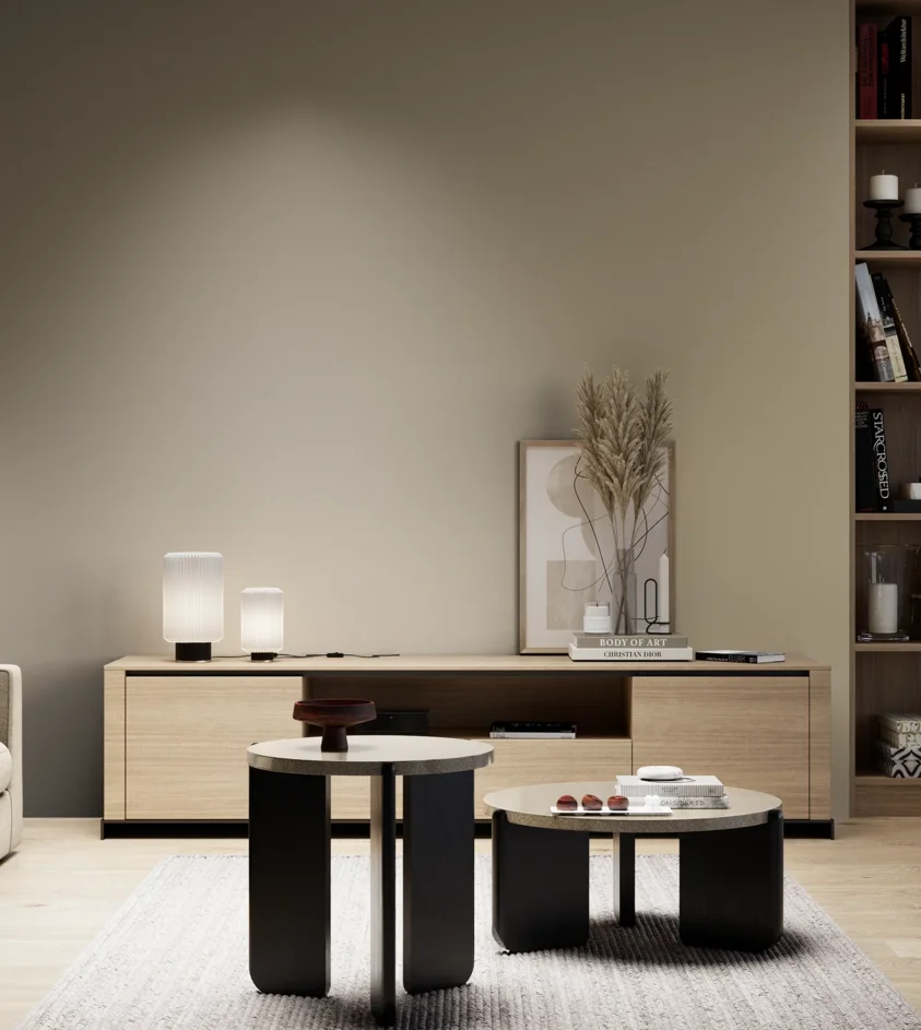 P10_SNIEZKA_salon_05_zimne_GREY_S4010-Y10R