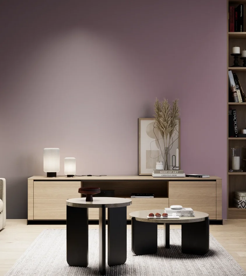 P10_SNIEZKA_salon_05_zimne_GREY_S4020-R30B