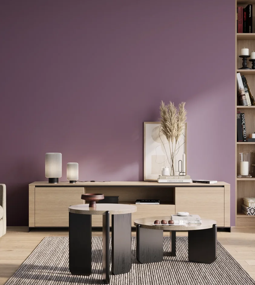 P10_SNIEZKA_salon_01_poranek_GREY_S4030-R50B