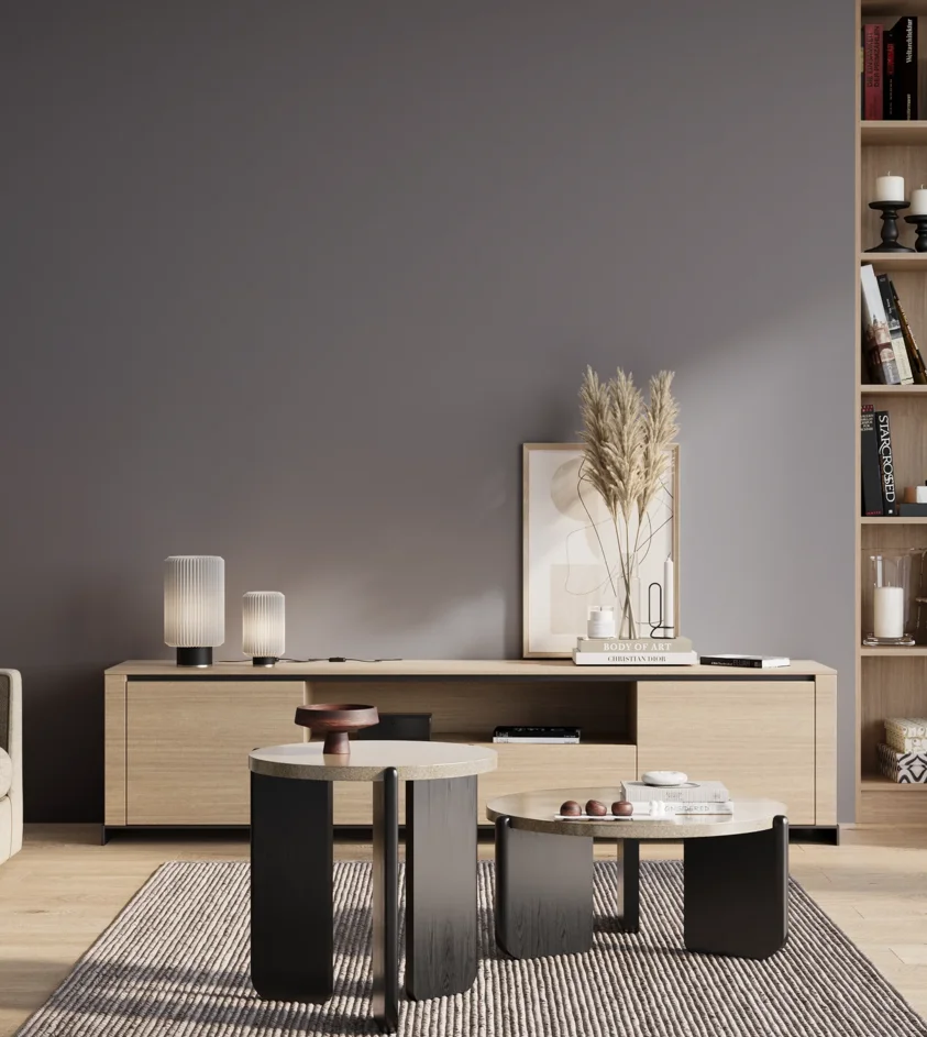 P10_SNIEZKA_salon_01_poranek_GREY_S5010-R70B