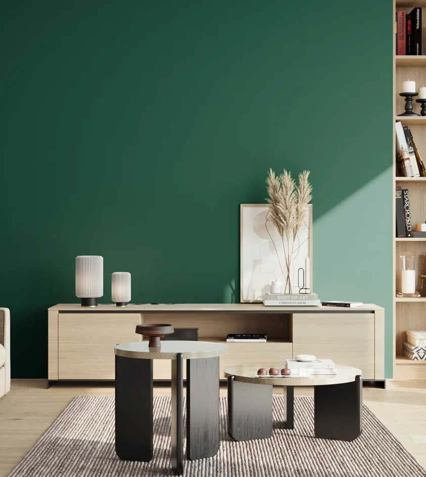 P10_SNIEZKA_salon_02_poludnie_GREY_S5540-B90G