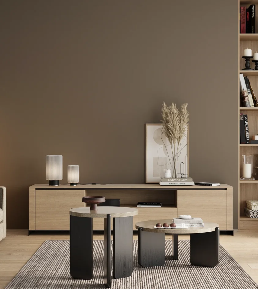 P10_SNIEZKA_salon_00_neutral_GREY_S6005-Y20R
