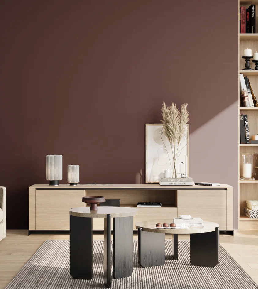 P10_SNIEZKA_salon_02_poludnie_GREY_S7020-R10B