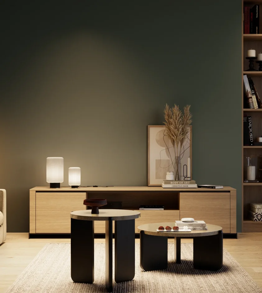 P10_SNIEZKA_salon_04_cieple_GREY_S8010-B70G