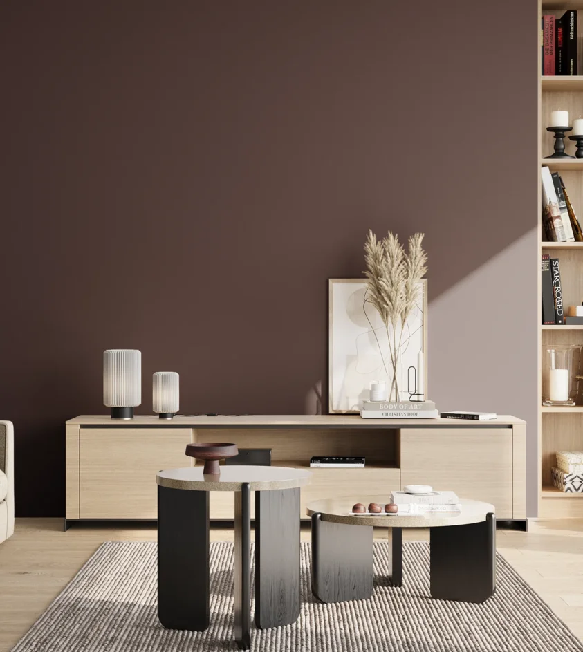 P10_SNIEZKA_salon_02_poludnie_GREY_S8010-R10B