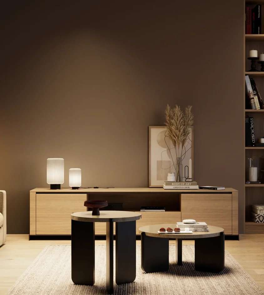 P10_SNIEZKA_salon_04_cieple_GREY_S8010-Y70R