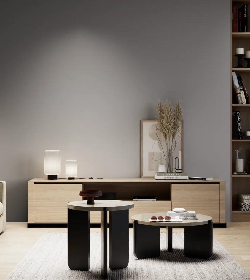 P10_SNIEZKA_salon_05_zimne_GREY_S4502-R50B