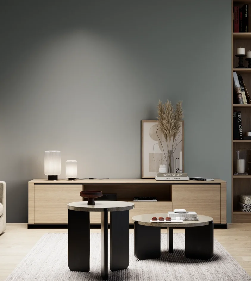 P10_SNIEZKA_salon_05_zimne_GREY_S5005-B50G