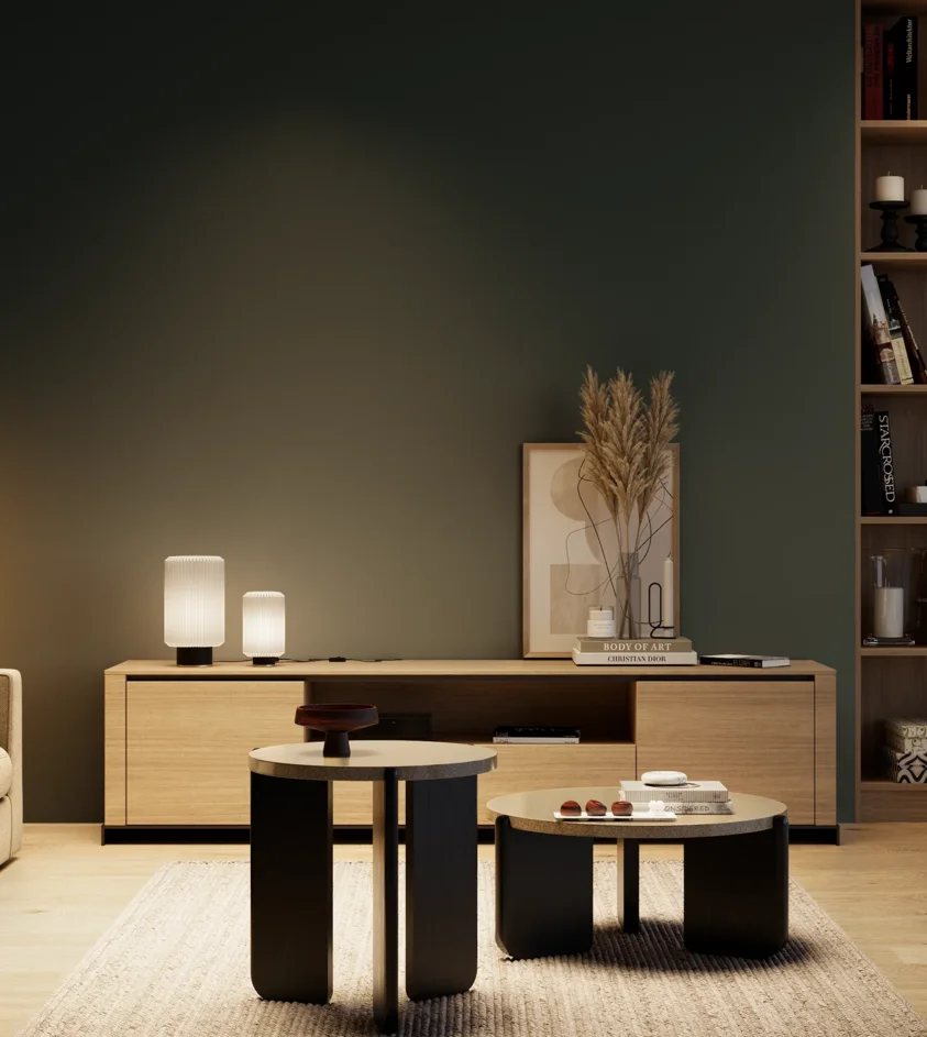 P10_SNIEZKA_salon_04_cieple_GREY_S8005-B50G