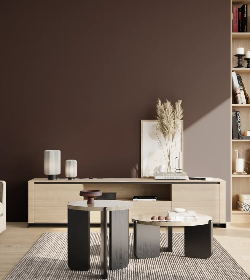P10_SNIEZKA_salon_02_poludnie_GREY_S8005-R